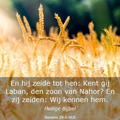 Picture 03 - Genesis 29:5 NLD - En hij zeide tot hen: Kent gij Laban, den zoon - Bible Verse Picture