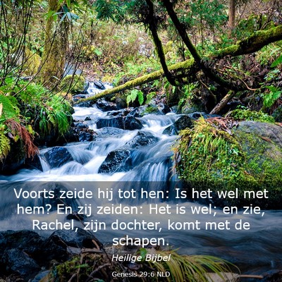 Picture 03 - Genesis 29:6 NLD - Voorts zeide hij tot hen: Is het wel met hem? En - Bible Verse Picture