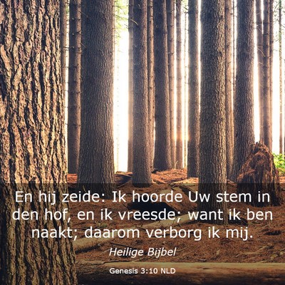 Picture 03 - Genesis 3:10 NLD - En hij zeide: Ik hoorde Uw stem in den hof, en ik - Bible Verse Picture