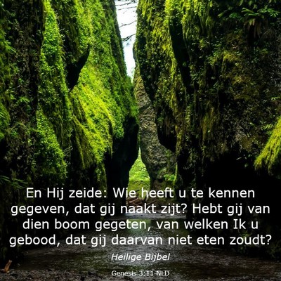 Picture 03 - Genesis 3:11 NLD - En Hij zeide: Wie heeft u te kennen gegeven, dat - Bible Verse Picture