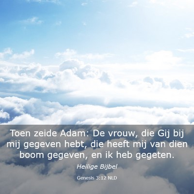 Picture 03 - Genesis 3:12 NLD - Toen zeide Adam: De vrouw, die Gij bij mij - Bible Verse Picture