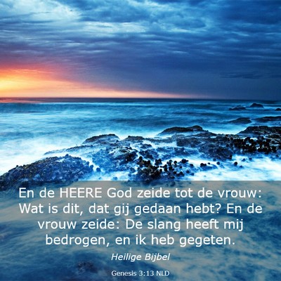 Picture 03 - Genesis 3:13 NLD - En de HEERE God zeide tot de vrouw: Wat is dit, - Bible Verse Picture