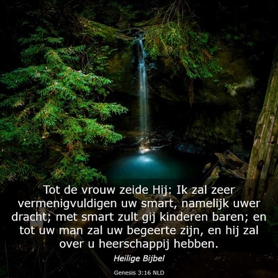 Picture 03 - Genesis 3:16 NLD - Tot de vrouw zeide Hij: Ik zal zeer - Bible Verse Picture