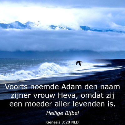 Picture 03 - Genesis 3:20 NLD - Voorts noemde Adam den naam zijner vrouw Heva, - Bible Verse Picture