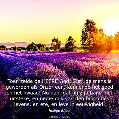 Picture 03 - Genesis 3:22 NLD - Toen zeide de HEERE God: Ziet, de mens is - Bible Verse Picture
