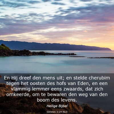 Picture 03 - Genesis 3:24 NLD - En Hij dreef den mens uit; en stelde cherubim - Bible Verse Picture