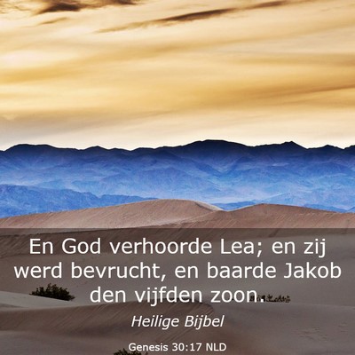 Picture 03 - Genesis 30:17 NLD - En God verhoorde Lea; en zij werd bevrucht, en - Bible Verse Picture