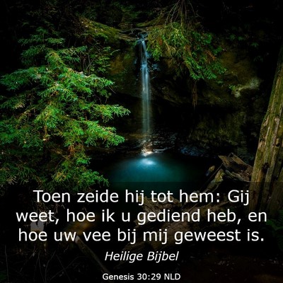 Picture 03 - Genesis 30:29 NLD - Toen zeide hij tot hem: Gij weet, hoe ik u - Bible Verse Picture
