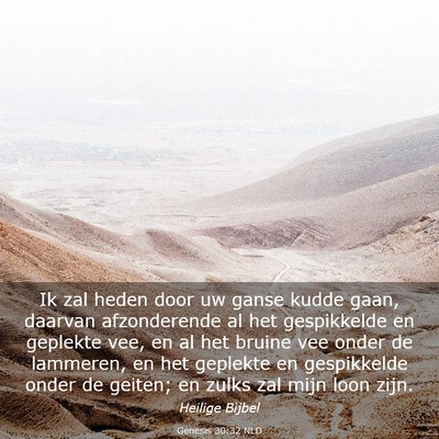 Picture 03 - Genesis 30:32 NLD - Ik zal heden door uw ganse kudde gaan, daarvan - Bible Verse Picture