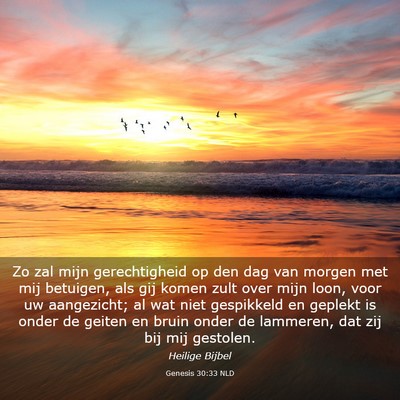 Picture 03 - Genesis 30:33 NLD - Zo zal mijn gerechtigheid op den dag van morgen - Bible Verse Picture