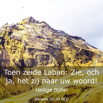 Picture 03 - Genesis 30:34 NLD - Toen zeide Laban: Zie, och ja, het zij naar uw - Bible Verse Picture
