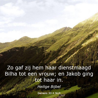 Picture 03 - Genesis 30:4 NLD - Zo gaf zij hem haar dienstmaagd Bilha tot een - Bible Verse Picture