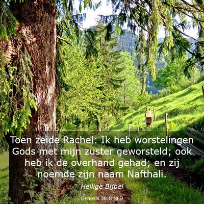 Picture 03 - Genesis 30:8 NLD - Toen zeide Rachel: Ik heb worstelingen Gods met - Bible Verse Picture