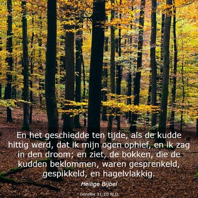 Picture 03 - Genesis 31:10 NLD - En het geschiedde ten tijde, als de kudde hittig - Bible Verse Picture