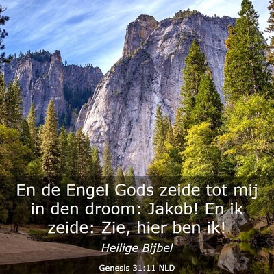 Picture 03 - Genesis 31:11 NLD - En de Engel Gods zeide tot mij in den droom: - Bible Verse Picture