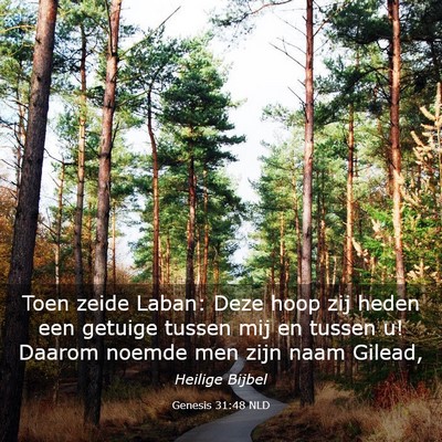 Picture 03 - Genesis 31:48 NLD - Toen zeide Laban: Deze hoop zij heden een getuige - Bible Verse Picture