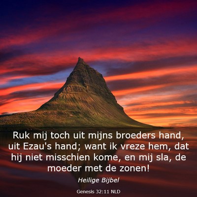 Picture 03 - Genesis 32:11 NLD - Ruk mij toch uit mijns broeders hand, uit Ezau's - Bible Verse Picture