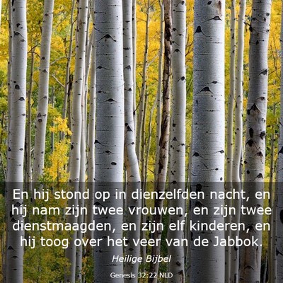 Picture 03 - Genesis 32:22 NLD - En hij stond op in dienzelfden nacht, en hij nam - Bible Verse Picture