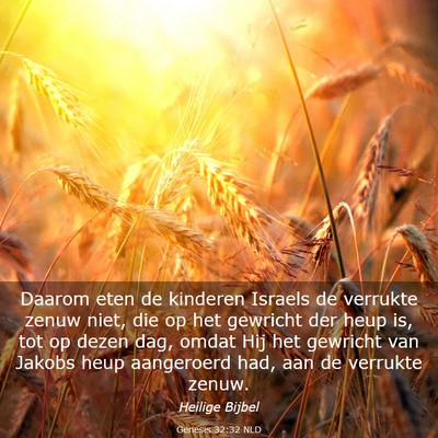 Picture 03 - Genesis 32:32 NLD - Daarom eten de kinderen Israels de verrukte zenuw - Bible Verse Picture