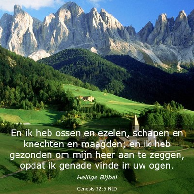 Picture 03 - Genesis 32:5 NLD - En ik heb ossen en ezelen, schapen en knechten en - Bible Verse Picture