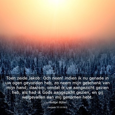 Picture 03 - Genesis 33:10 NLD - Toen zeide Jakob: Och neen! indien ik nu genade - Bible Verse Picture