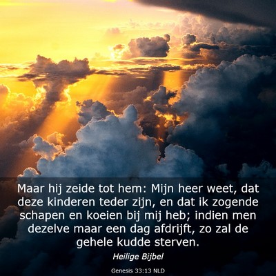 Picture 03 - Genesis 33:13 NLD - Maar hij zeide tot hem: Mijn heer weet, dat deze - Bible Verse Picture