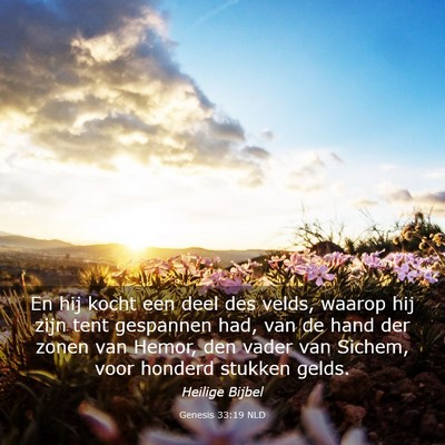 Picture 03 - Genesis 33:19 NLD - En hij kocht een deel des velds, waarop hij zijn - Bible Verse Picture
