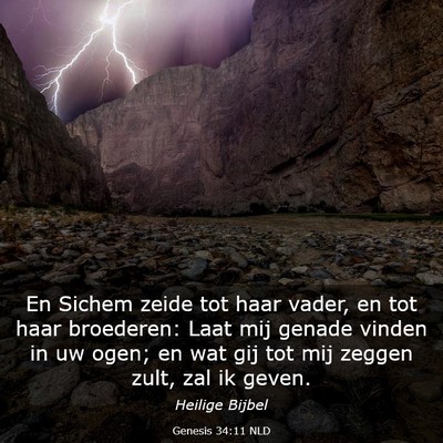 Picture 03 - Genesis 34:11 NLD - En Sichem zeide tot haar vader, en tot haar - Bible Verse Picture