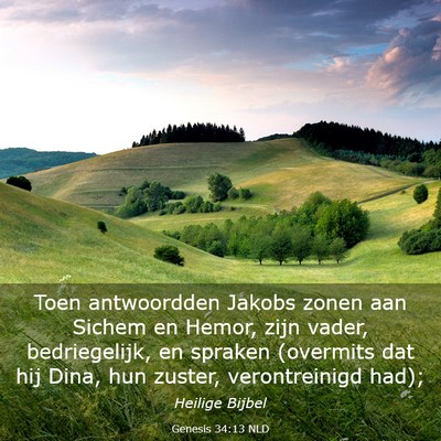 Picture 03 - Genesis 34:13 NLD - Toen antwoordden Jakobs zonen aan Sichem en - Bible Verse Picture