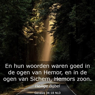 Picture 03 - Genesis 34:18 NLD - En hun woorden waren goed in de ogen van Hemor, - Bible Verse Picture