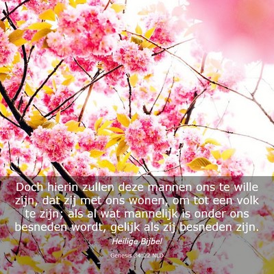 Picture 03 - Genesis 34:22 NLD - Doch hierin zullen deze mannen ons te wille zijn, - Bible Verse Picture