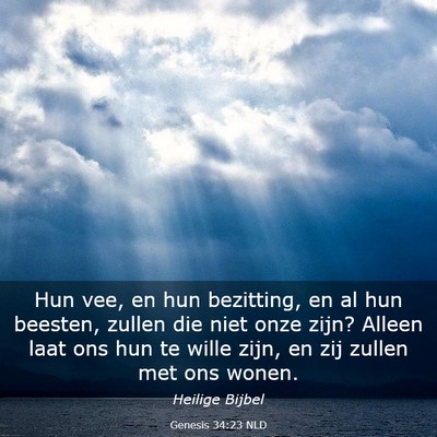 Picture 03 - Genesis 34:23 NLD - Hun vee, en hun bezitting, en al hun beesten, - Bible Verse Picture