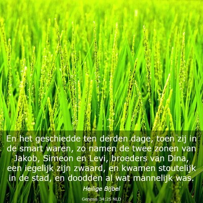 Picture 03 - Genesis 34:25 NLD - En het geschiedde ten derden dage, toen zij in de - Bible Verse Picture