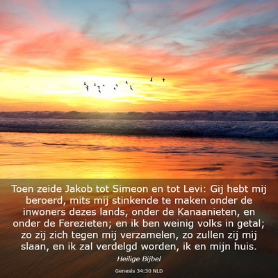 Picture 03 - Genesis 34:30 NLD - Toen zeide Jakob tot Simeon en tot Levi: Gij hebt - Bible Verse Picture