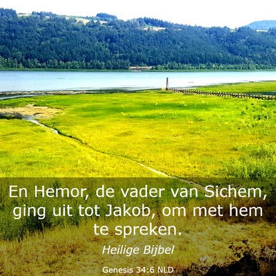 Picture 03 - Genesis 34:6 NLD - En Hemor, de vader van Sichem, ging uit tot - Bible Verse Picture