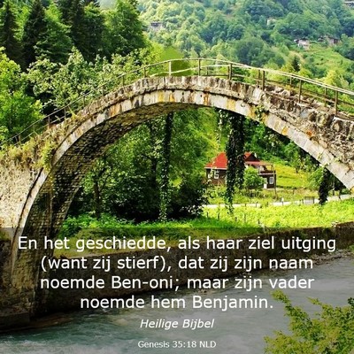 Picture 03 - Genesis 35:18 NLD - En het geschiedde, als haar ziel uitging (want - Bible Verse Picture