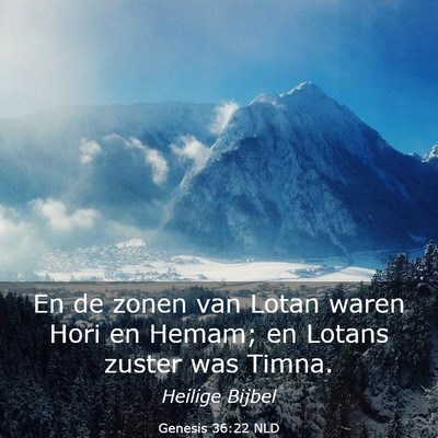 Picture 03 - Genesis 36:22 NLD - En de zonen van Lotan waren Hori en Hemam; en - Bible Verse Picture