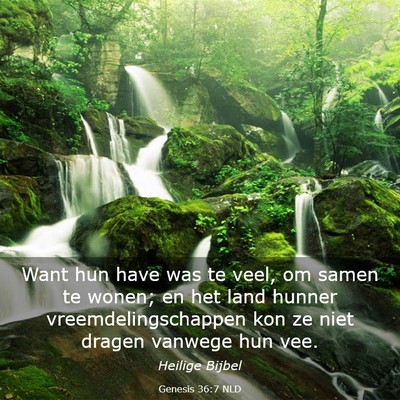 Picture 03 - Genesis 36:7 NLD - Want hun have was te veel, om samen te wonen; en - Bible Verse Picture