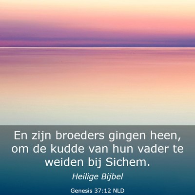 Picture 03 - Genesis 37:12 NLD - En zijn broeders gingen heen, om de kudde van hun - Bible Verse Picture