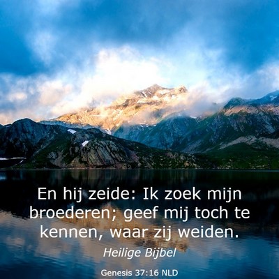 Picture 03 - Genesis 37:16 NLD - En hij zeide: Ik zoek mijn broederen; geef mij - Bible Verse Picture