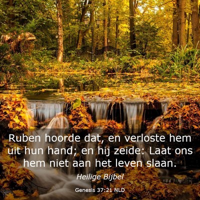 Picture 03 - Genesis 37:21 NLD - Ruben hoorde dat, en verloste hem uit hun hand; - Bible Verse Picture