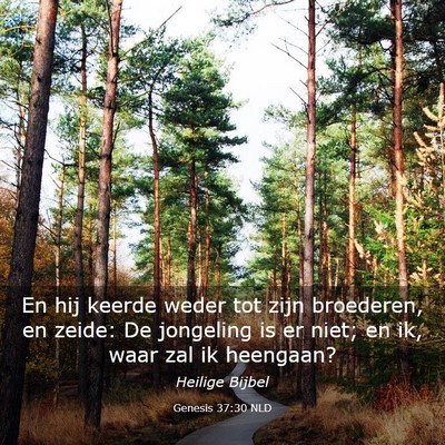 Picture 03 - Genesis 37:30 NLD - En hij keerde weder tot zijn broederen, en zeide: - Bible Verse Picture