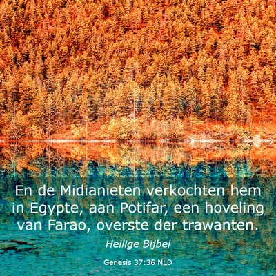 Picture 03 - Genesis 37:36 NLD - En de Midianieten verkochten hem in Egypte, aan - Bible Verse Picture