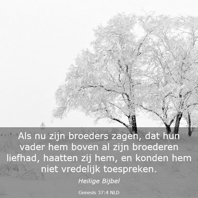 Picture 03 - Genesis 37:4 NLD - Als nu zijn broeders zagen, dat hun vader hem - Bible Verse Picture
