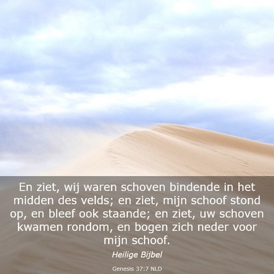 Picture 03 - Genesis 37:7 NLD - En ziet, wij waren schoven bindende in het midden - Bible Verse Picture