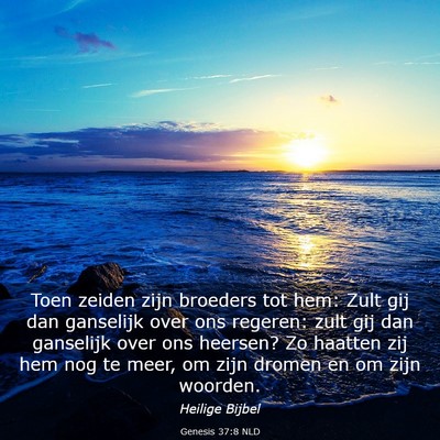 Picture 03 - Genesis 37:8 NLD - Toen zeiden zijn broeders tot hem: Zult gij dan - Bible Verse Picture