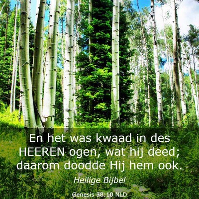 Picture 03 - Genesis 38:10 NLD - En het was kwaad in des HEEREN ogen, wat hij - Bible Verse Picture