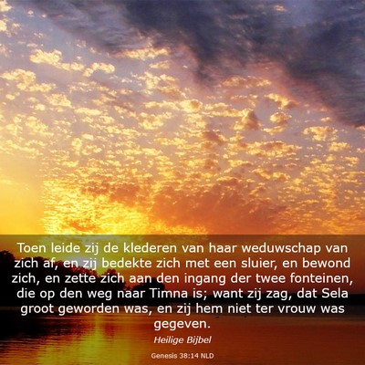 Picture 03 - Genesis 38:14 NLD - Toen leide zij de klederen van haar weduwschap - Bible Verse Picture