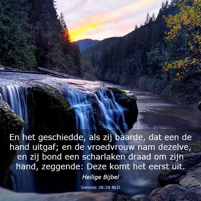 Picture 03 - Genesis 38:28 NLD - En het geschiedde, als zij baarde, dat een de - Bible Verse Picture