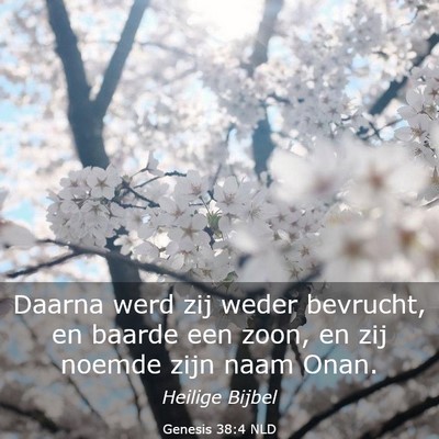 Picture 03 - Genesis 38:4 NLD - Daarna werd zij weder bevrucht, en baarde een - Bible Verse Picture